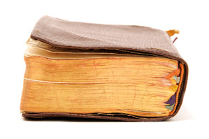 Die Bibel